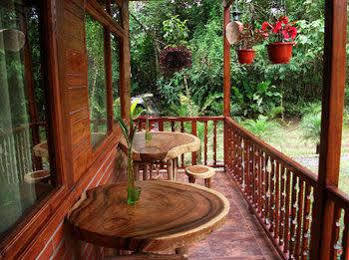 Mindo Green House מראה חיצוני תמונה